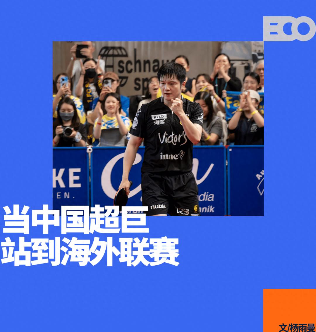 出海226天，樊振东为德国乒乓带来了什么？｜乒乓2025